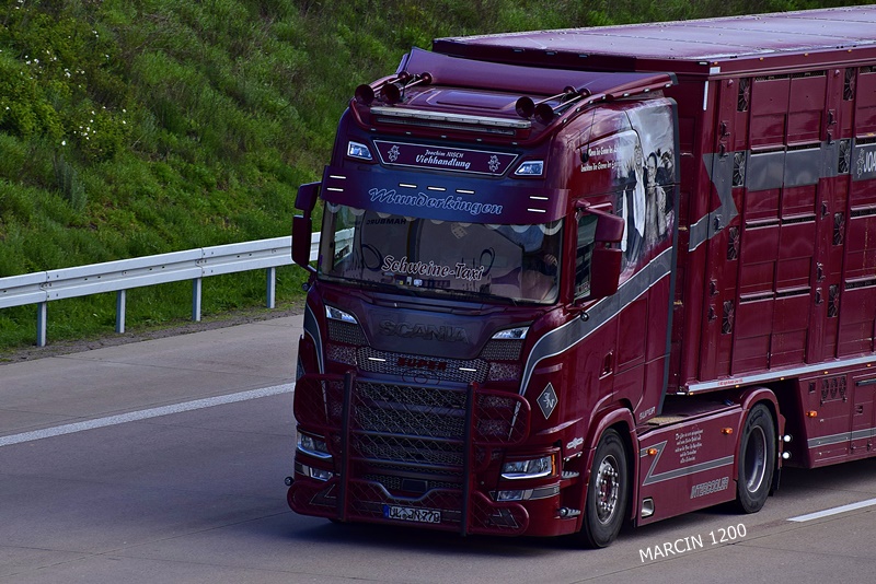 _DSC2687 NISCH-crop-SCANIA R NG.JPG