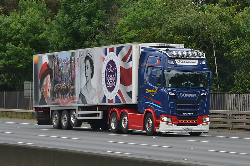 platinum jubliee.jpg