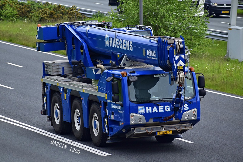_DSC3944-crop-demag-Haegens.JPG