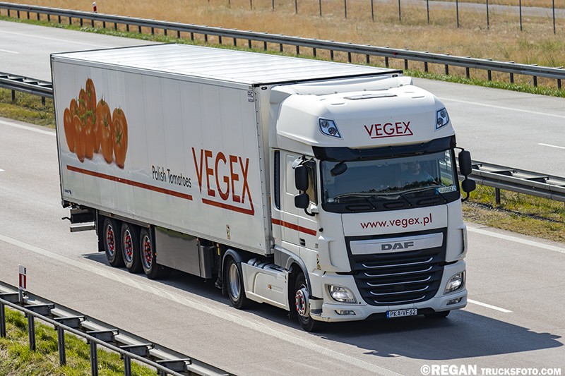 DAF XF - Vegex.jpg