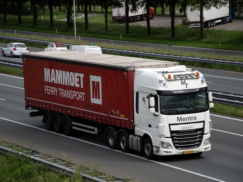 DSC_0289kopia tf.jpg