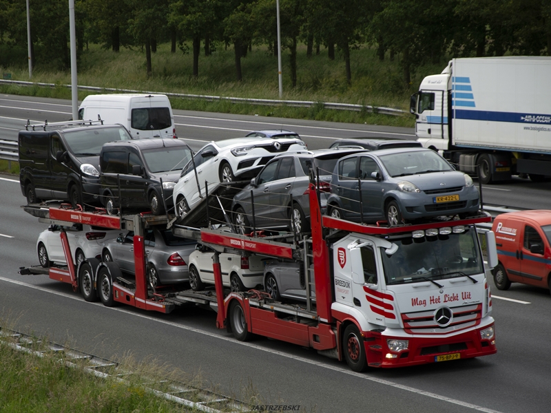 DSC_0295kopia tf.jpg