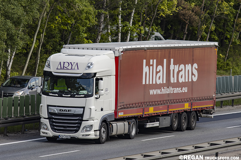 DAF XF- Arya Hilal.jpg