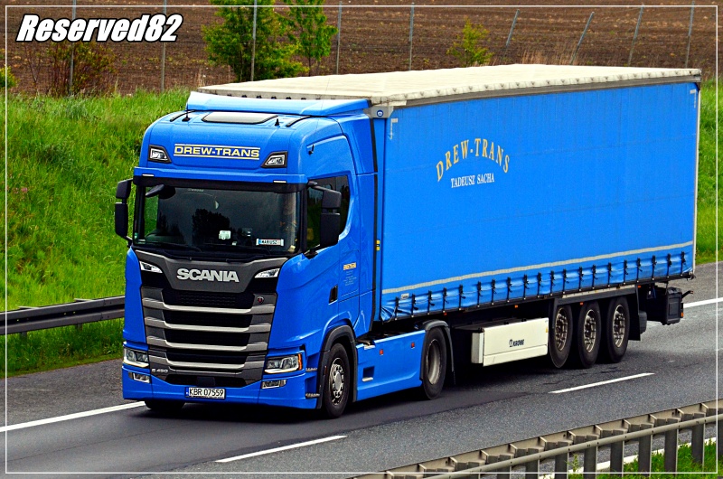 DSC_5296.JPG drew trans.JPG