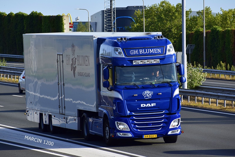_DSC7987-crop-Gm Blumen-DAF XF 106.JPG