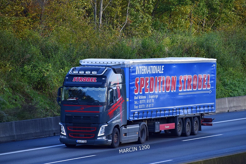 _DSC7624 STROBEL-crop-VOLVO FH IV.JPG