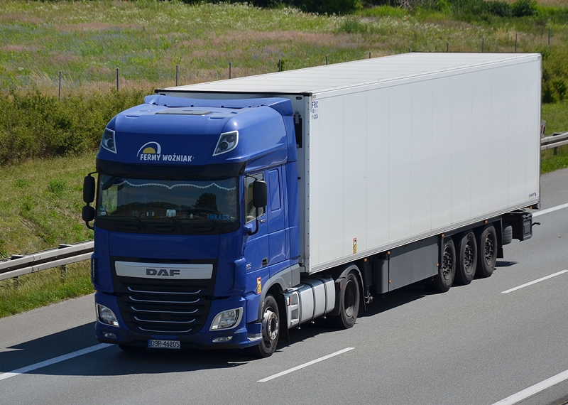 fermy woźniak 4.JPG