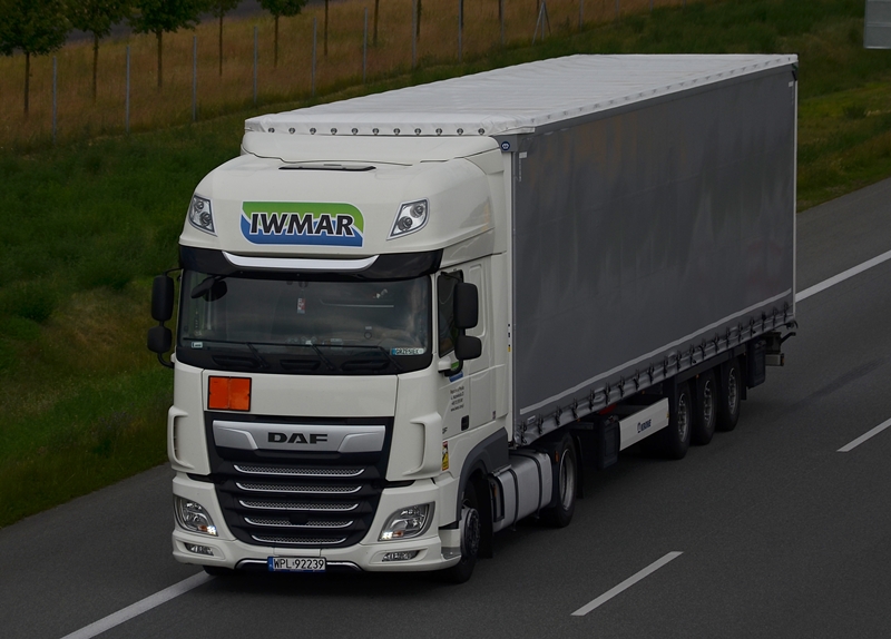 iwmar 2.JPG