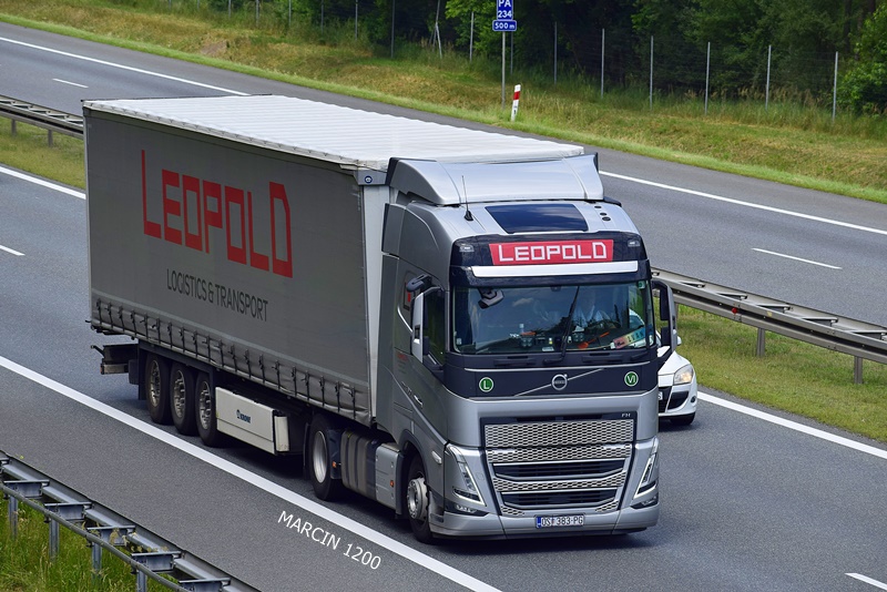 _DSC5059-crop-LeopolD-VOLVO FH V.JPG