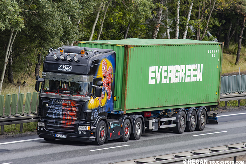 Scania R - Zyga Transport.jpg