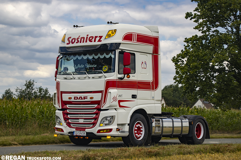DAF XF - Sośnierz.jpg