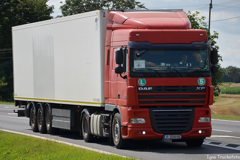 dafxf105bg2.JPG