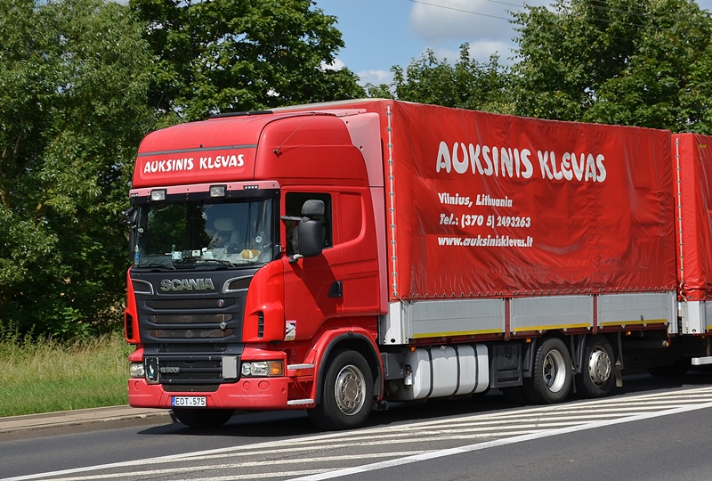 auksinis klevas 2.JPG