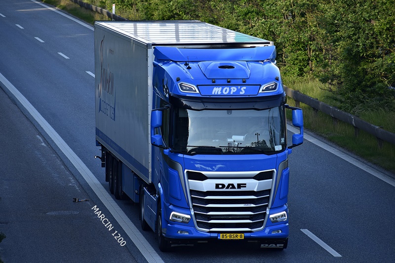 _DSC5019 MOP'S-crop-DAF XG.JPG