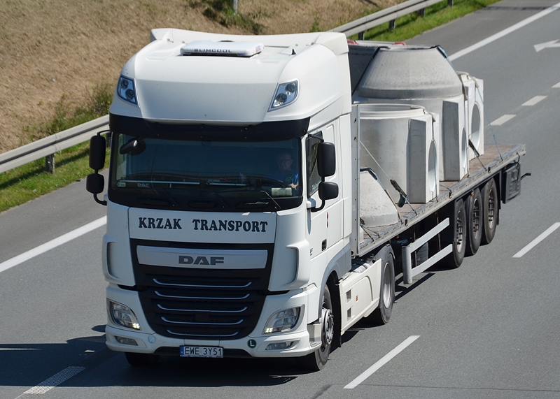 krzak transport 1.JPG