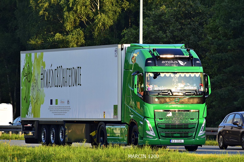 _DSC5632-crop-AMPLUS-VOLVO FH V.JPG
