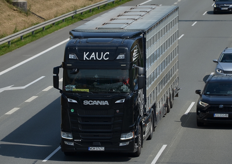 kauc 3.JPG
