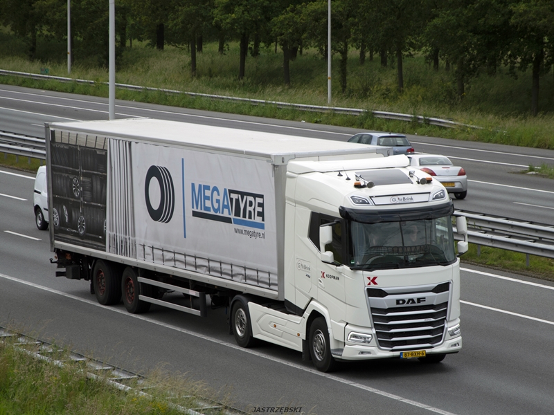 DSC_0299kopia tf.jpg