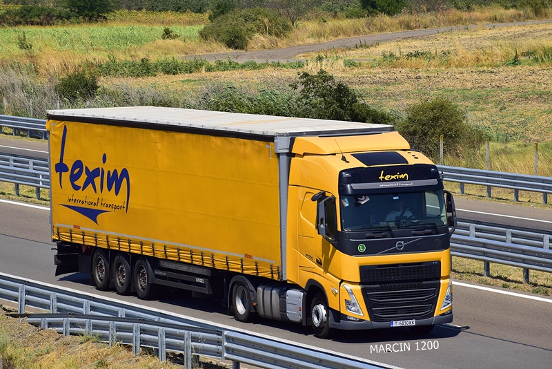 _DSC5376-crop-Texim International Transport-VOLVO FH V.JPG