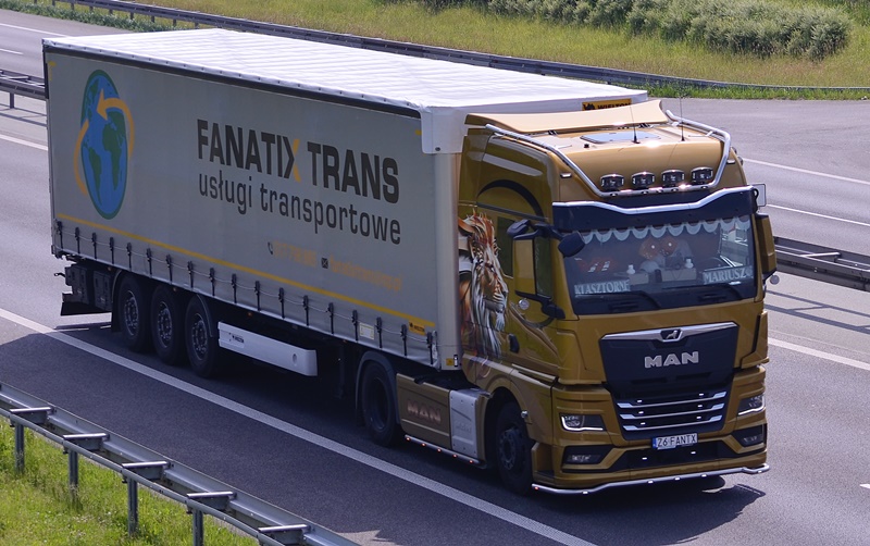 fanatix trans 1.JPG