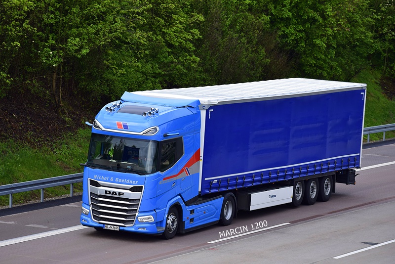 _DSC1145 NICKEL-crop-DAF XG+.JPG