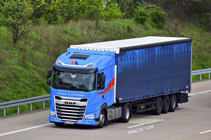 _DSC2045 NICKEL-crop-DAF XG+.JPG