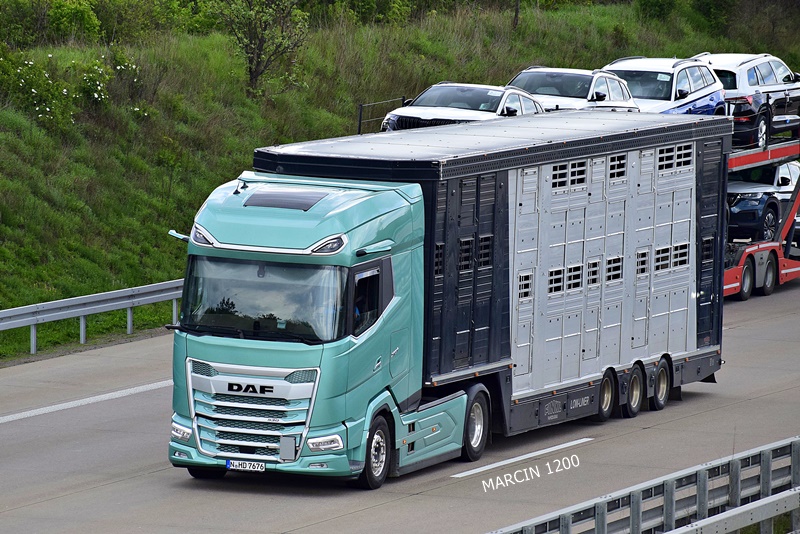 _DSC2027 FRIES-crop-DAF XG.JPG