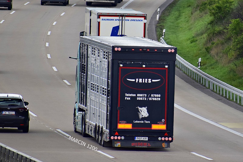 _DSC2028 FRIES-crop-DAF XG.JPG