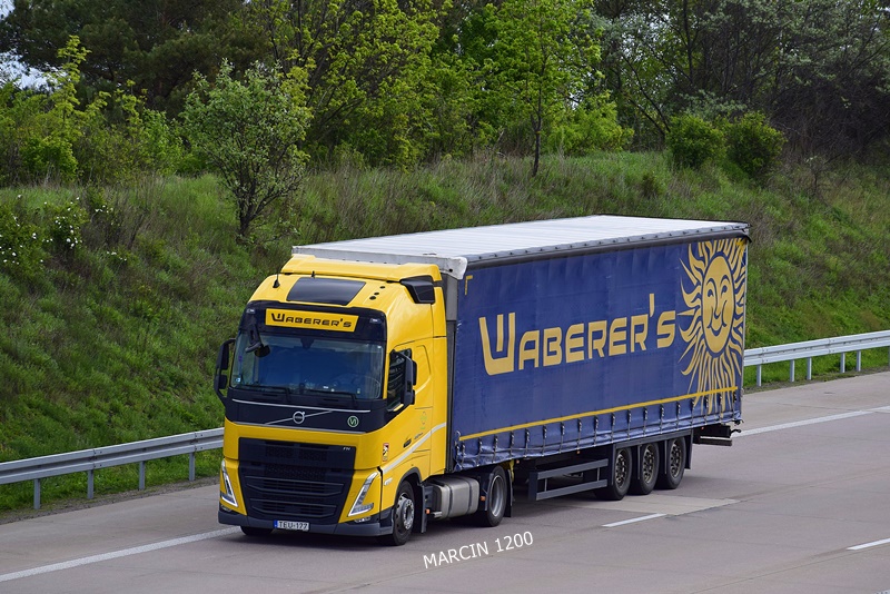 _DSC2646 WABERERS-crop-VOLVO FH V.JPG