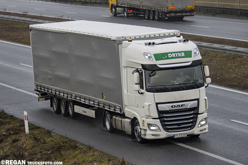 DAF XF - Dryka.jpg