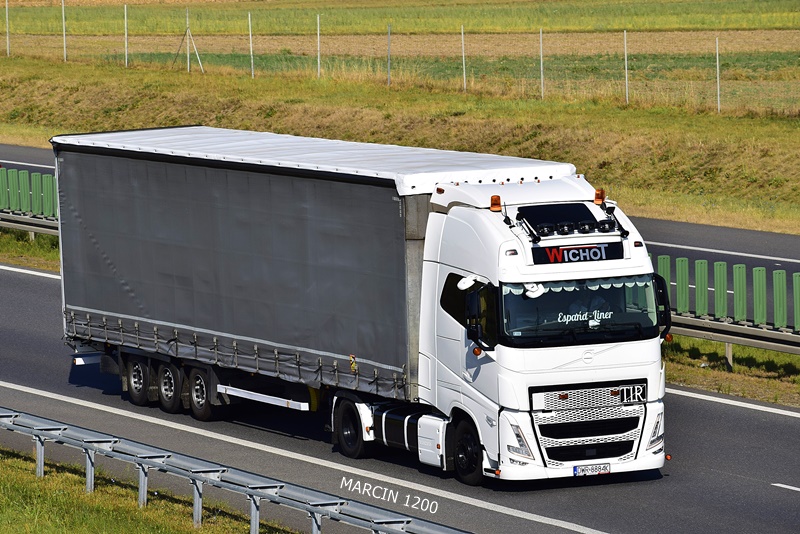 _DSC6700-crop-Volvo FH5 - Wichot.JPG