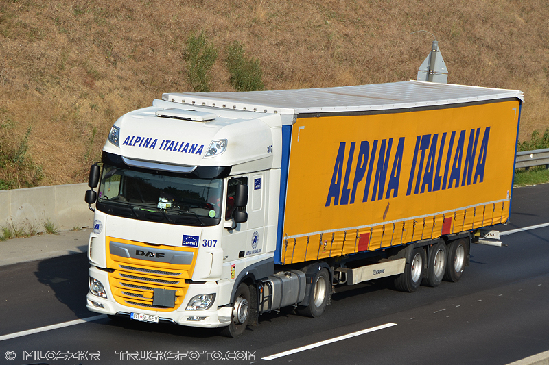 Daf 106XF_Alpina Italiana _1198.JPG