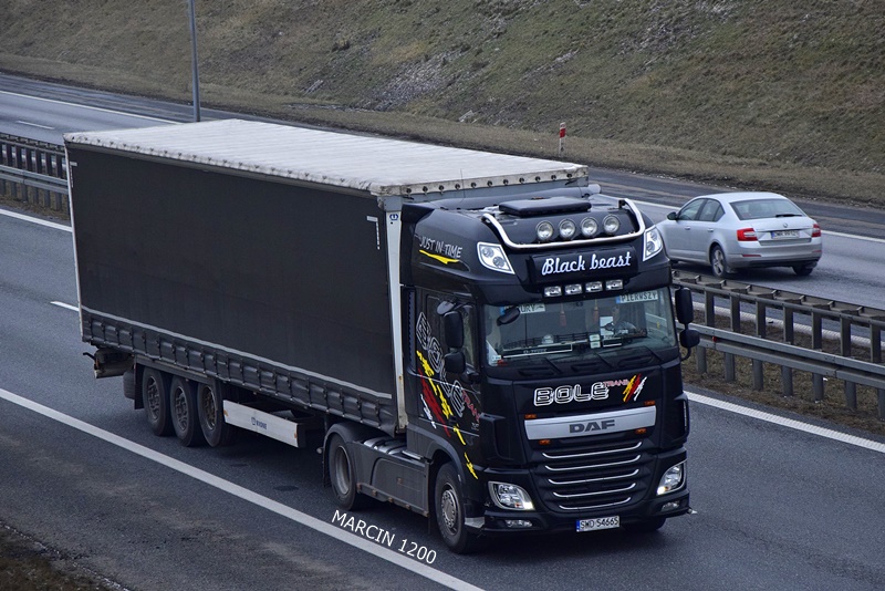 _DSC4042-crop-BOLE-DAF XF 106.JPG