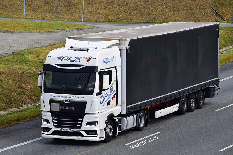 _DSC6936-crop-BOLE-MAN TGX II.JPG