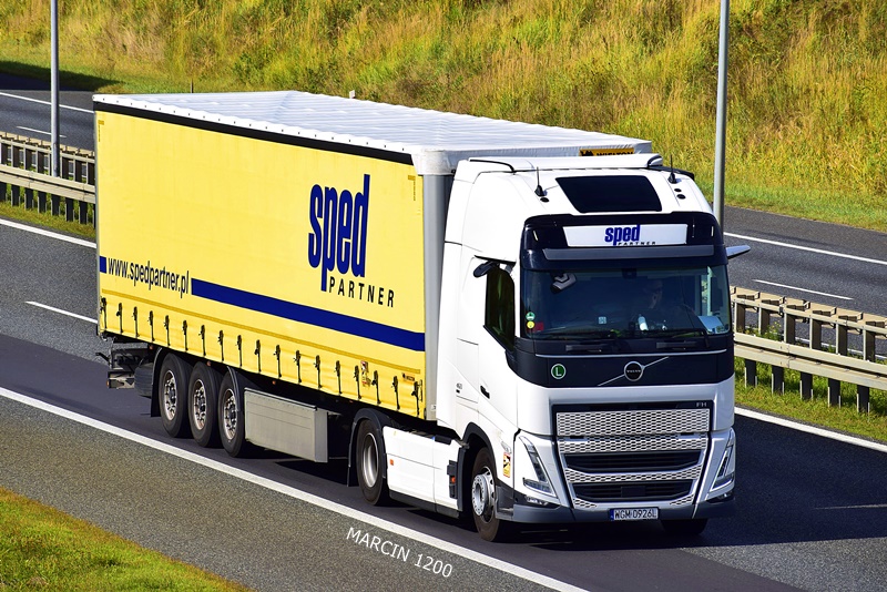 _DSC7612-crop-Volvo FH5 KAMERY- Sped Partner.JPG