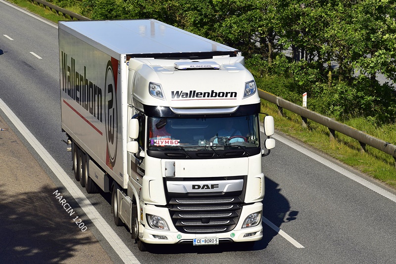 _DSC4975 WALLENBORN-crop-DAF XF 106 II.JPG