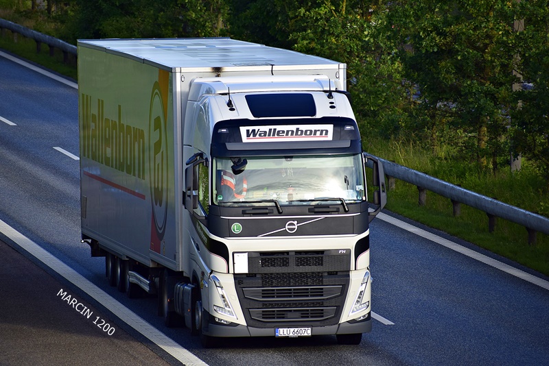 _DSC4254 WALLENBORN-crop-VOLVO FH V.JPG