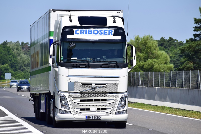 _DSC5203-crop-Criboser-VOLVO FH IV.JPG