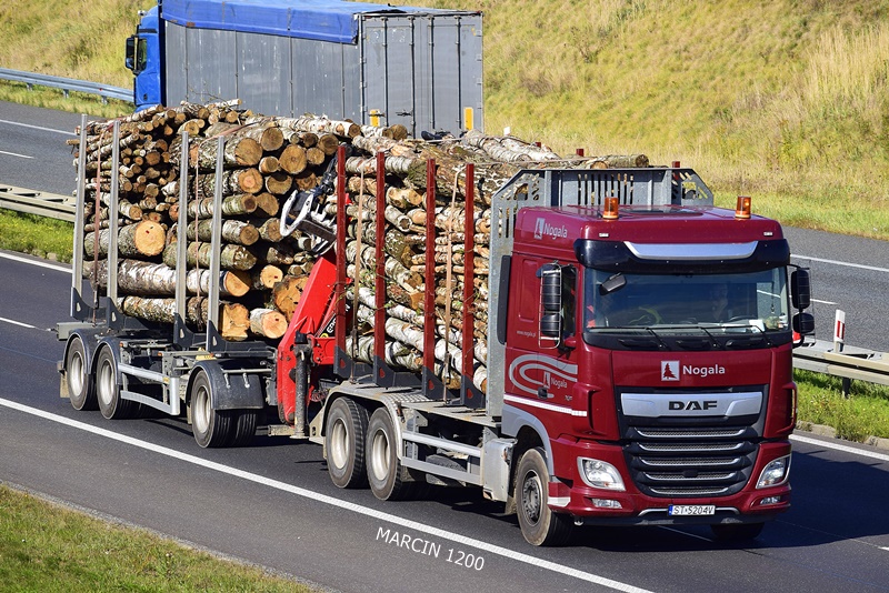 _DSC7759-crop-NOGALA-DAF XGF 106.JPG