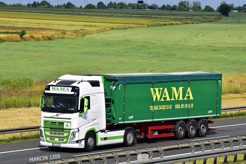 _DSC7877-crop-WAMA-VOLVO FH IV.JPG