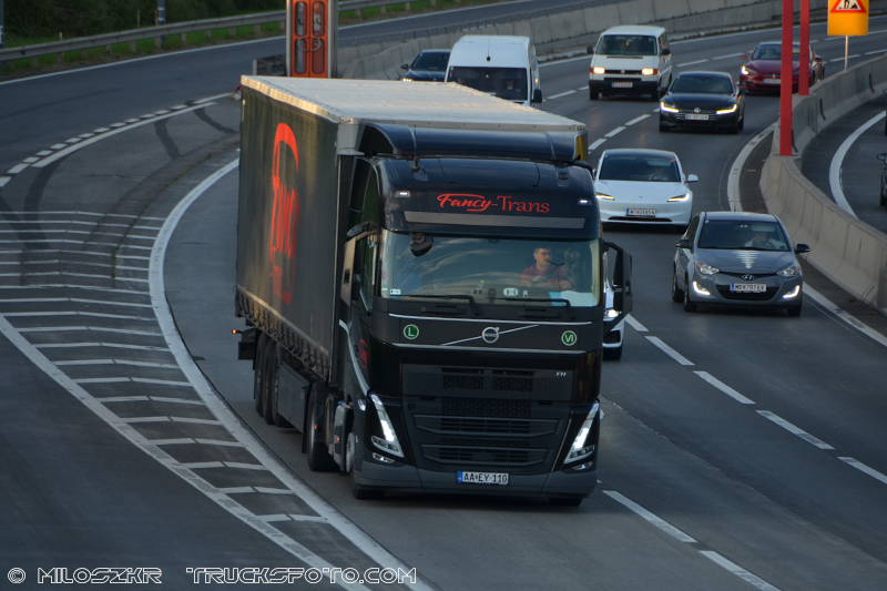 Volvo FH5_Fancy Trans_3102.JPG