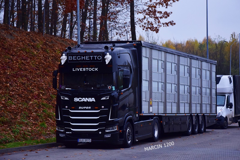 _DSC9578-crop-Beghetto-SCANIA S590 V8-LIVESTOCK.JPG