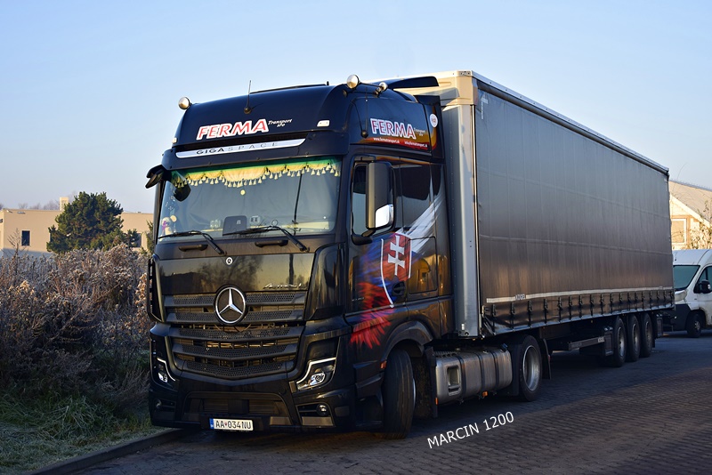 _DSC9751-crop-FERMA-ActrosL MPV.JPG