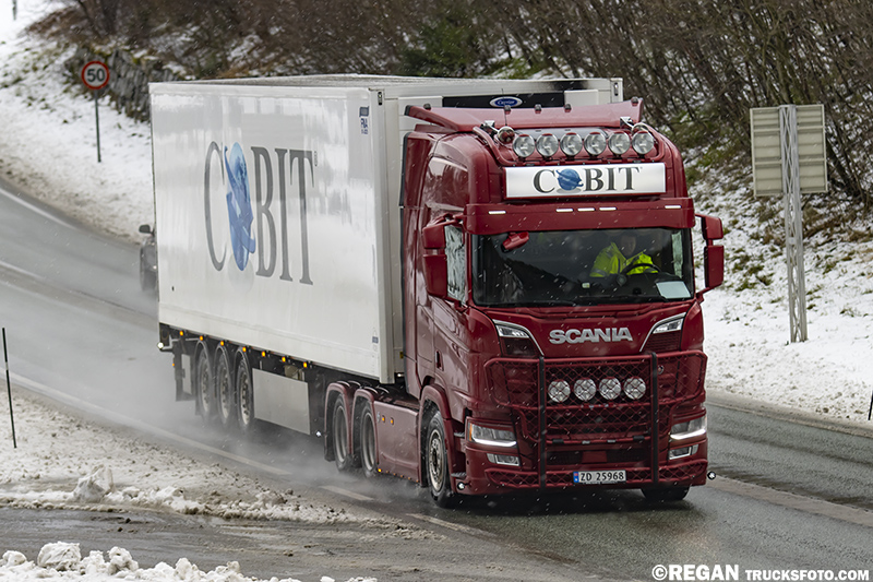 Scania V8 - Cobit.jpg