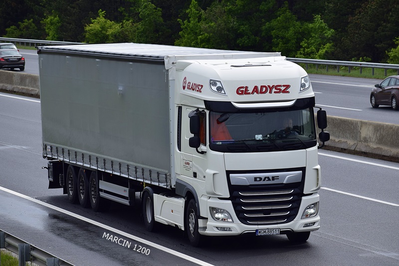 _DSC3013 GŁADYSZ-crop-DAF XF 106 II.JPG