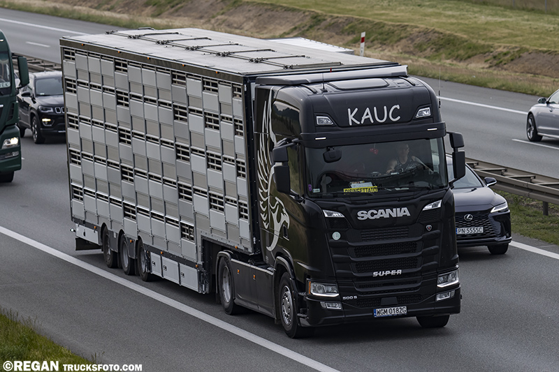 Scania 500S - Kauc.jpg