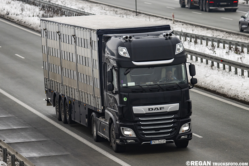 DAF XF - Kauc.jpg