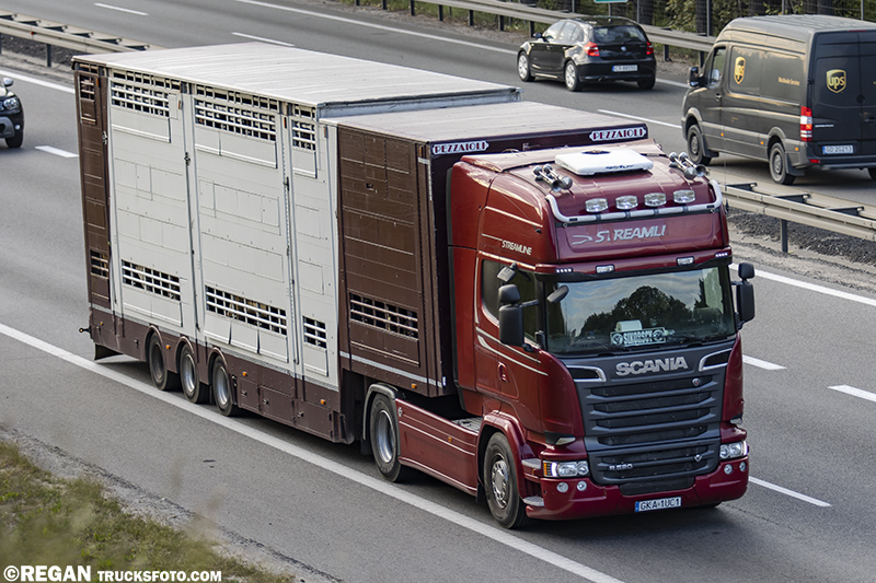 Scania R520 V8 - Sikorscy Stężyca.jpg