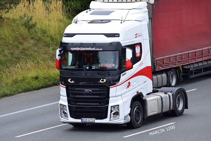 _DSC00011 (2006)-crop-PAWBUD-FORD F-MAX.JPG