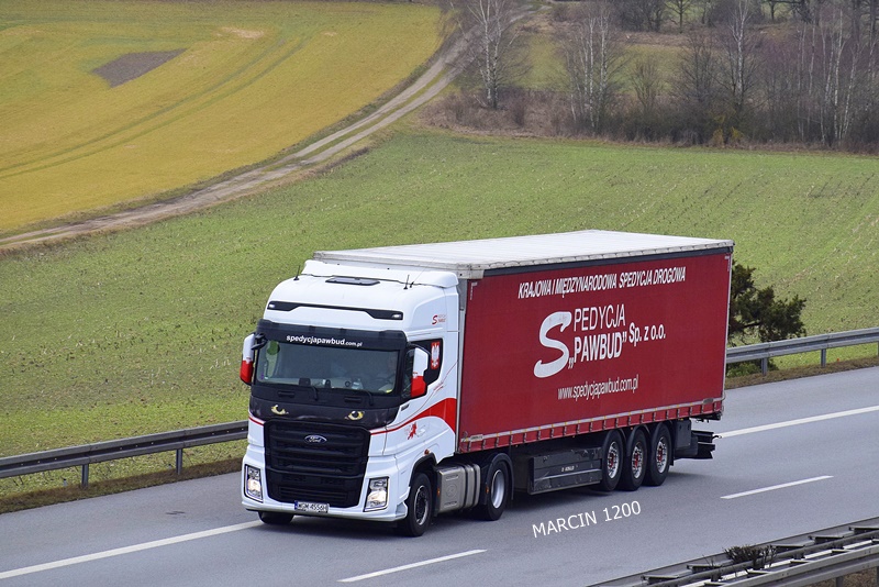 _DSC9743 PAWBUD-crop-FORD F-MAX.JPG